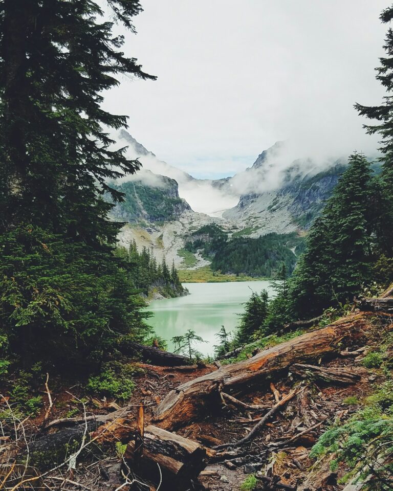 Adventuring in the Great Outdoors: Tips and Tricks