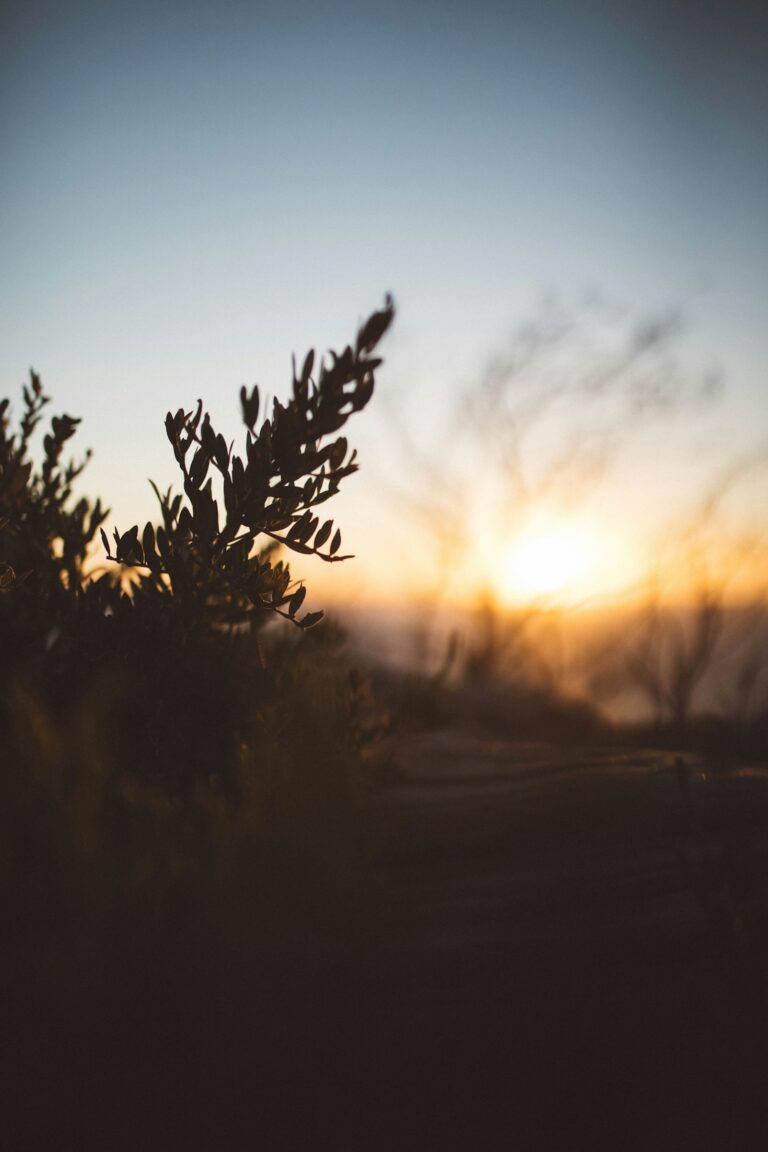 The Psychology of a True Outdoorsman